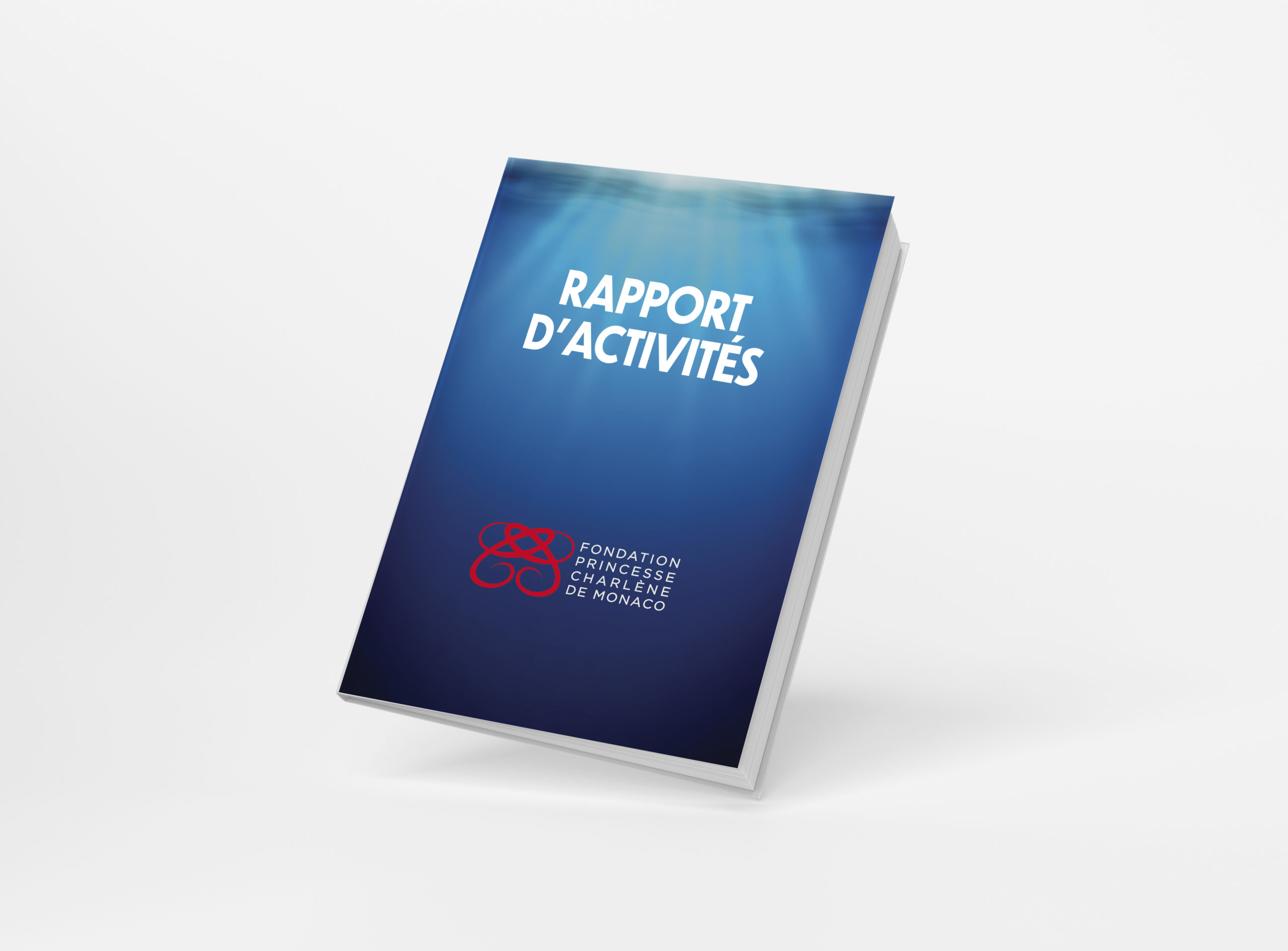 Image de l'article Activity Reports